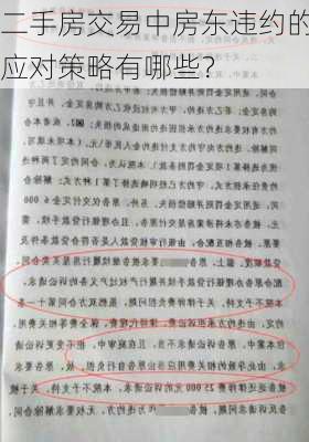 二手房交易中房东违约的应对策略有哪些？-第3张图片-苏希特新能源