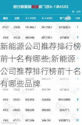 新能源公司推荐排行榜前十名有哪些,新能源公司推荐排行榜前十名有哪些品牌-第2张图片-苏希特新能源