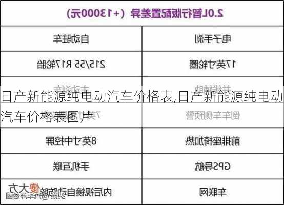 日产新能源纯电动汽车价格表,日产新能源纯电动汽车价格表图片