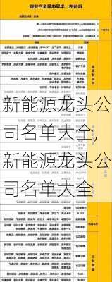 新能源龙头公司名单大全,新能源龙头公司名单大全-第2张图片-苏希特新能源