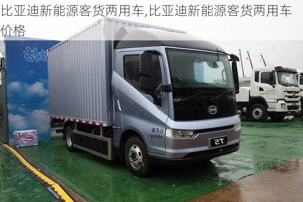 比亚迪新能源客货两用车,比亚迪新能源客货两用车价格-第3张图片-苏希特新能源