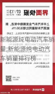 新能源纯电动汽车销量,新能源纯电动汽车销量排行榜-第3张图片-苏希特新能源