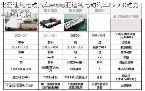 比亚迪纯电动汽车ev,比亚迪纯电动汽车Ev300动力电池有几组