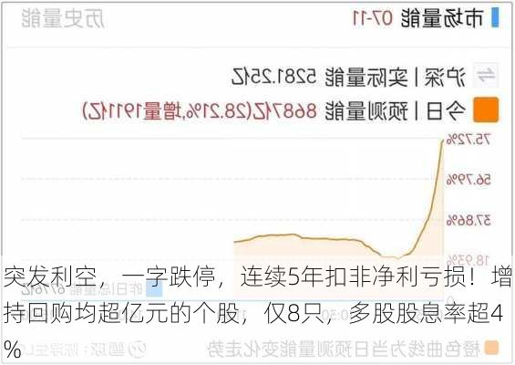 突发利空，一字跌停，连续5年扣非净利亏损！增持回购均超亿元的个股，仅8只，多股股息率超4%-第3张图片-苏希特新能源