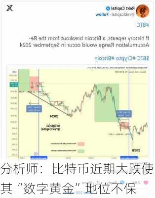 分析师：比特币近期大跌使其“数字黄金”地位不保-第1张图片-苏希特新能源