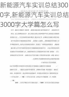 新能源汽车实训总结3000字,新能源汽车实训总结3000字大学篇怎么写-第2张图片-苏希特新能源