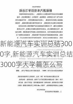 新能源汽车实训总结3000字,新能源汽车实训总结3000字大学篇怎么写-第3张图片-苏希特新能源