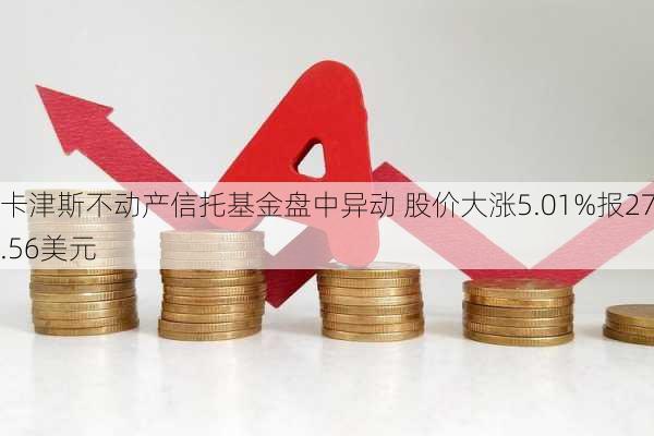 卡津斯不动产信托基金盘中异动 股价大涨5.01%报27.56美元-第2张图片-苏希特新能源