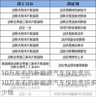 10万左右的新能源汽车保险贵吗,10万左右的新能源汽车保险贵吗多少钱-第1张图片-苏希特新能源