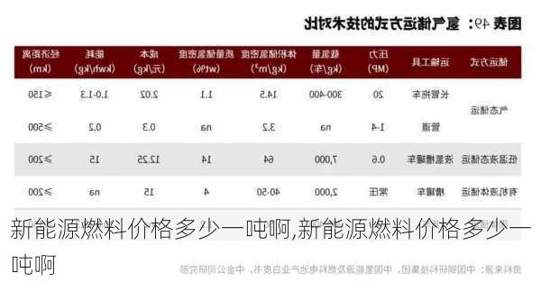 新能源燃料价格多少一吨啊,新能源燃料价格多少一吨啊-第3张图片-苏希特新能源