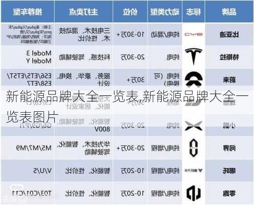 新能源品牌大全一览表,新能源品牌大全一览表图片-第2张图片-苏希特新能源