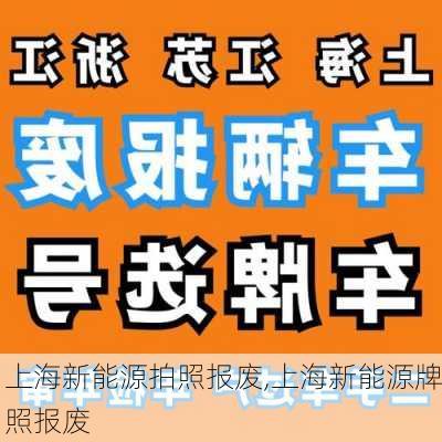 上海新能源拍照报废,上海新能源牌照报废-第3张图片-苏希特新能源