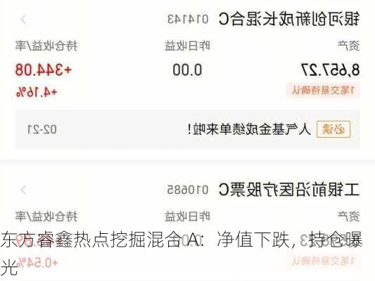 东方睿鑫热点挖掘混合 A：净值下跌，持仓曝光-第1张图片-苏希特新能源