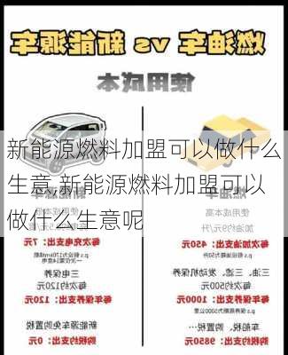 新能源燃料加盟可以做什么生意,新能源燃料加盟可以做什么生意呢-第3张图片-苏希特新能源