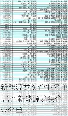 新能源龙头企业名单,常州新能源龙头企业名单-第2张图片-苏希特新能源