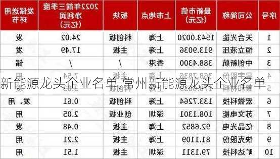 新能源龙头企业名单,常州新能源龙头企业名单-第3张图片-苏希特新能源