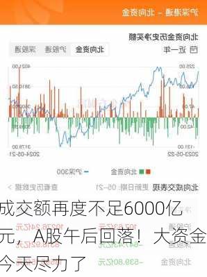 成交额再度不足6000亿元，A股午后回落！大资金今天尽力了-第2张图片-苏希特新能源