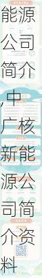 中广核新能源公司简介,中广核新能源公司简介资料-第2张图片-苏希特新能源