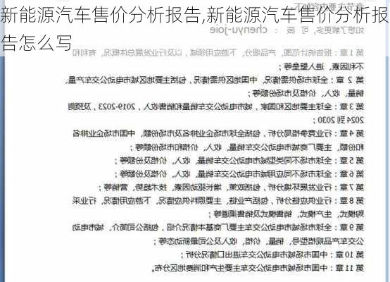 新能源汽车售价分析报告,新能源汽车售价分析报告怎么写-第2张图片-苏希特新能源