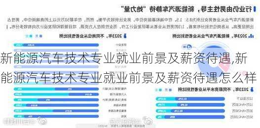 新能源汽车技术专业就业前景及薪资待遇,新能源汽车技术专业就业前景及薪资待遇怎么样-第3张图片-苏希特新能源