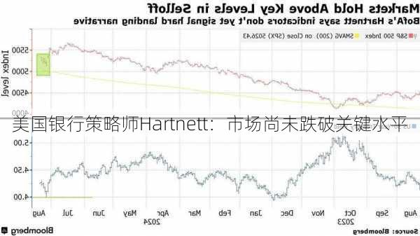 美国银行策略师Hartnett：市场尚未跌破关键水平-第1张图片-苏希特新能源