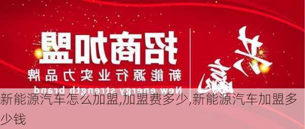 新能源汽车怎么加盟,加盟费多少,新能源汽车加盟多少钱-第3张图片-苏希特新能源