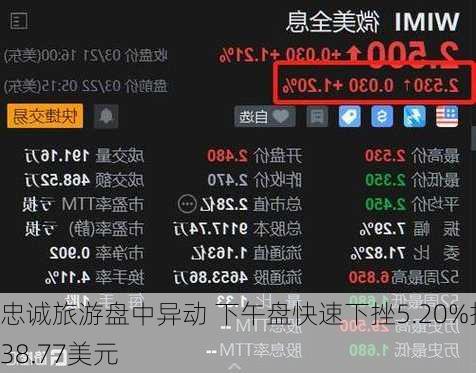 忠诚旅游盘中异动 下午盘快速下挫5.20%报38.77美元-第2张图片-苏希特新能源