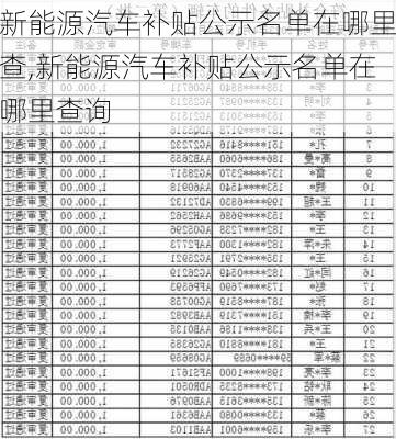 新能源汽车补贴公示名单在哪里查,新能源汽车补贴公示名单在哪里查询-第2张图片-苏希特新能源