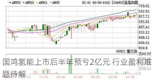 国鸿氢能上市后半年预亏2亿元 行业盈利难题待解-第1张图片-苏希特新能源