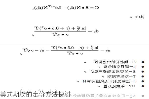 美式期权的定价方法探讨-第1张图片-苏希特新能源