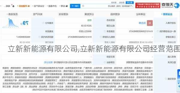 立新新能源有限公司,立新新能源有限公司经营范围