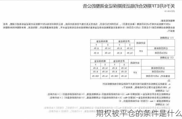 期权被平仓的条件是什么-第3张图片-苏希特新能源