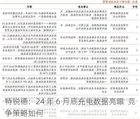 特锐德：24 年 6 月底充电数据亮眼  竞争策略如何-第1张图片-苏希特新能源