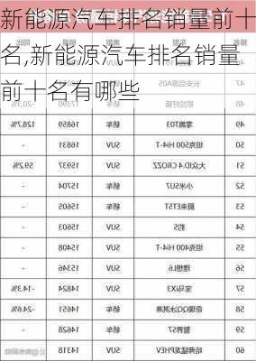 新能源汽车排名销量前十名,新能源汽车排名销量前十名有哪些-第3张图片-苏希特新能源