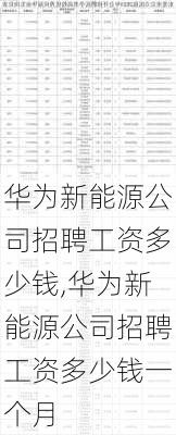 华为新能源公司招聘工资多少钱,华为新能源公司招聘工资多少钱一个月-第3张图片-苏希特新能源