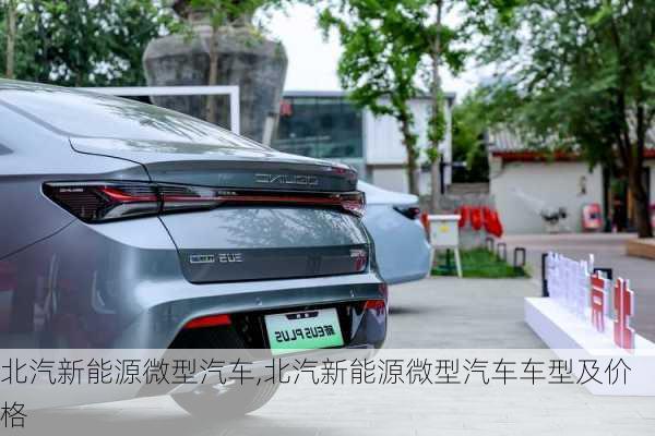 北汽新能源微型汽车,北汽新能源微型汽车车型及价格-第3张图片-苏希特新能源