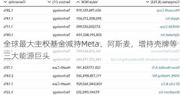 全球最大主权基金减持Meta、阿斯麦，增持壳牌等三大能源巨头-第1张图片-苏希特新能源