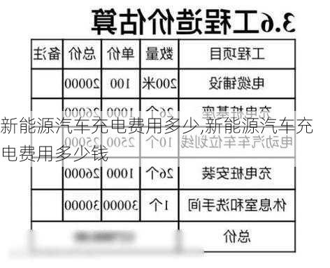 新能源汽车充电费用多少,新能源汽车充电费用多少钱-第3张图片-苏希特新能源