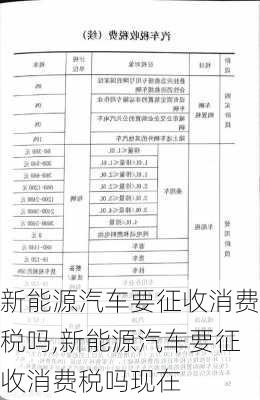 新能源汽车要征收消费税吗,新能源汽车要征收消费税吗现在-第1张图片-苏希特新能源