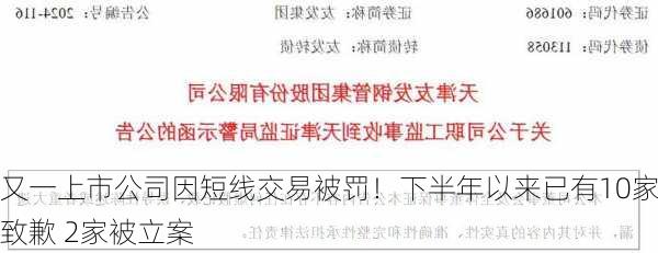 又一上市公司因短线交易被罚！下半年以来已有10家致歉 2家被立案-第2张图片-苏希特新能源