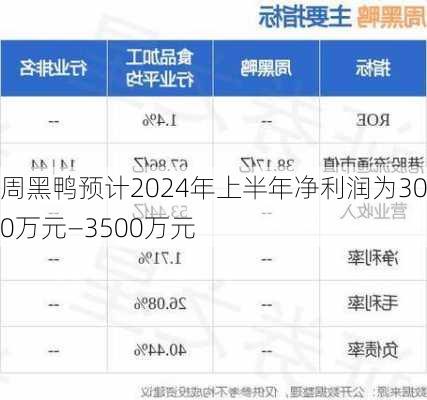 周黑鸭预计2024年上半年净利润为3000万元―3500万元-第1张图片-苏希特新能源