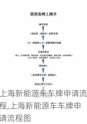 上海新能源车车牌申请流程,上海新能源车车牌申请流程图-第2张图片-苏希特新能源