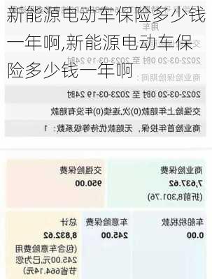 新能源电动车保险多少钱一年啊,新能源电动车保险多少钱一年啊-第1张图片-苏希特新能源