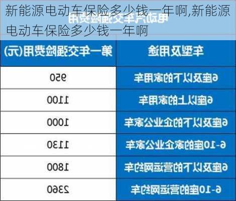 新能源电动车保险多少钱一年啊,新能源电动车保险多少钱一年啊-第2张图片-苏希特新能源