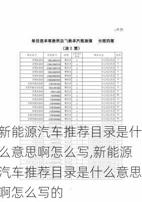 新能源汽车推荐目录是什么意思啊怎么写,新能源汽车推荐目录是什么意思啊怎么写的-第2张图片-苏希特新能源