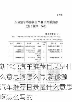 新能源汽车推荐目录是什么意思啊怎么写,新能源汽车推荐目录是什么意思啊怎么写的-第1张图片-苏希特新能源