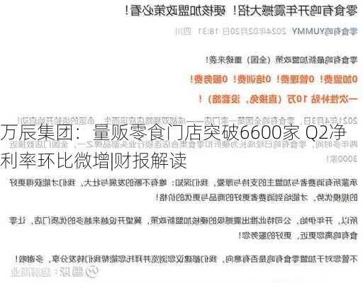 万辰集团：量贩零食门店突破6600家 Q2净利率环比微增|财报解读-第2张图片-苏希特新能源