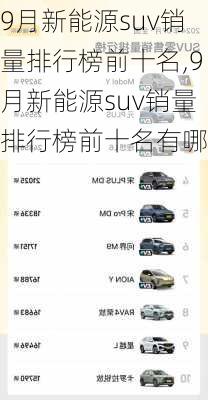 9月新能源suv销量排行榜前十名,9月新能源suv销量排行榜前十名有哪些-第2张图片-苏希特新能源