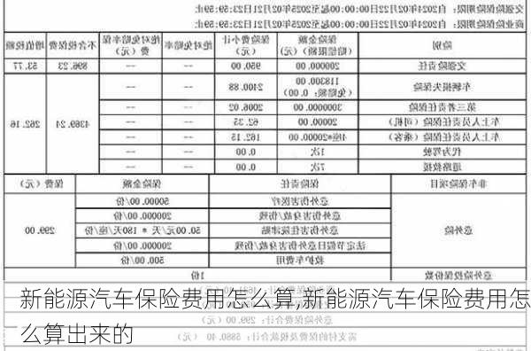 新能源汽车保险费用怎么算,新能源汽车保险费用怎么算出来的-第1张图片-苏希特新能源