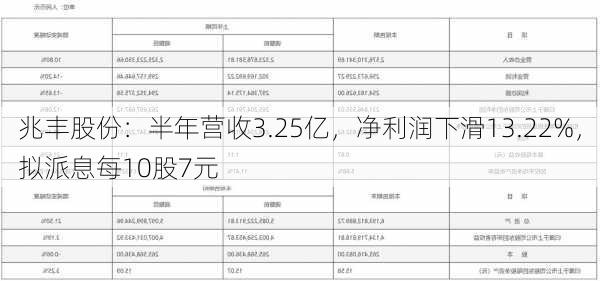 兆丰股份：半年营收3.25亿，净利润下滑13.22%，拟派息每10股7元